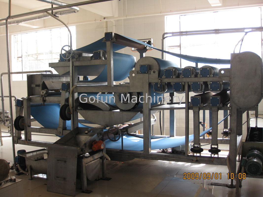 SS304 5T/H Concentrated Pineapple Processing Line 15T/Day