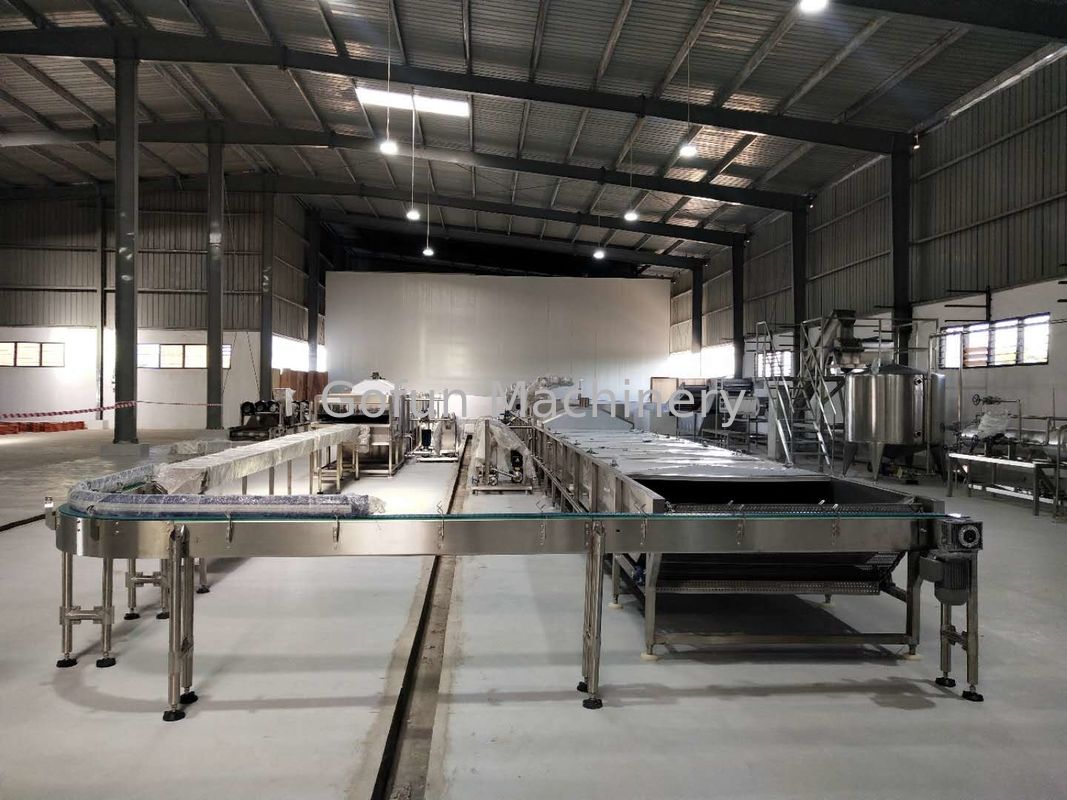 SS304 600T/D Concentrated Tomato Paste Processing Line