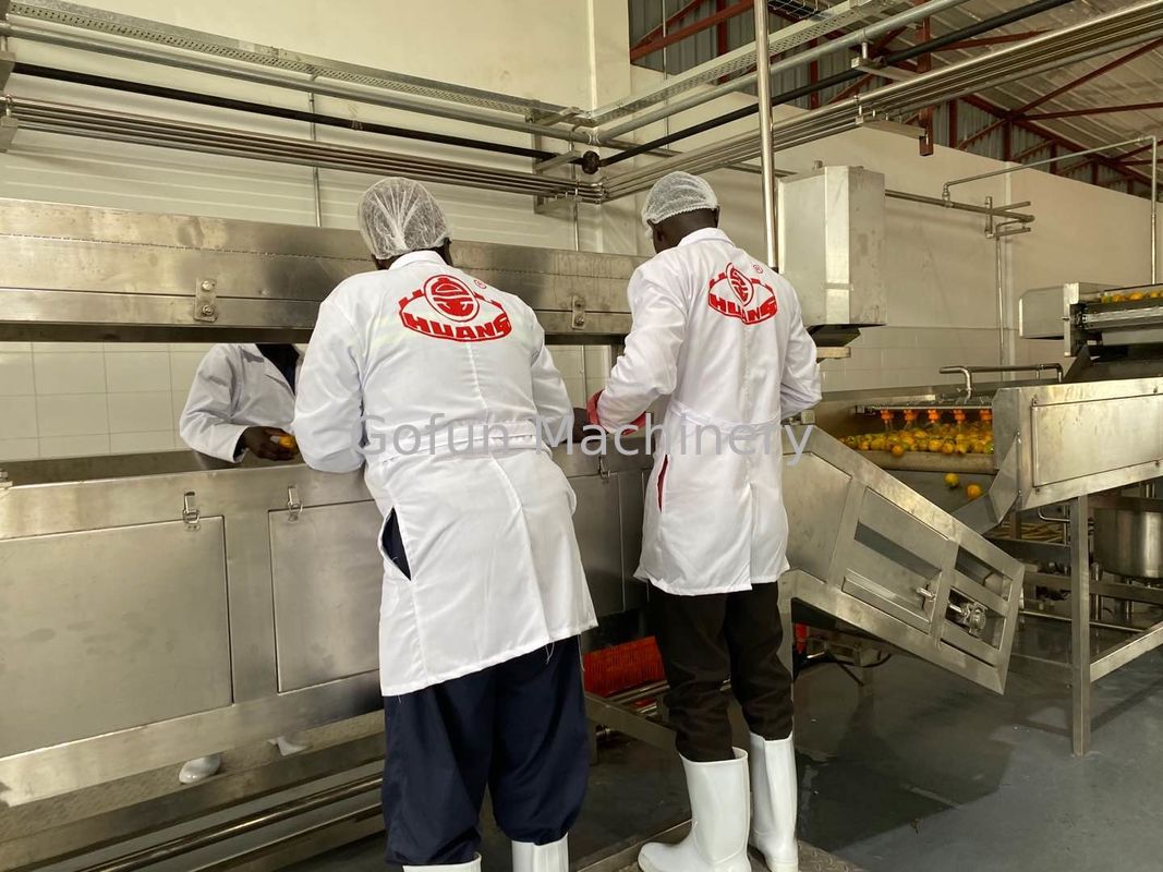 Customized 10T/H SS Mango Pulp Production Line