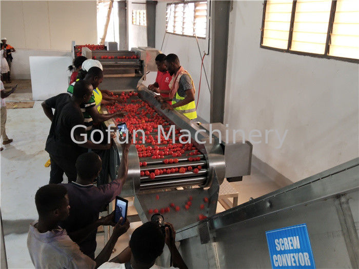 304 Stainless Steel 600T/D Tomato Processing Line