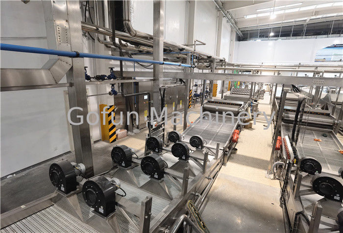 ISO Industrial 2000T/D Tomato Processing Line 250t/D