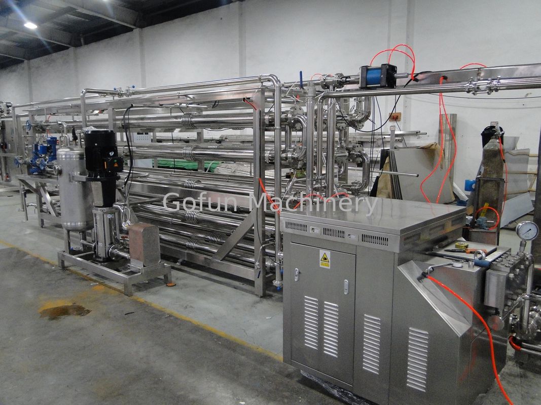 Berry Pulp Food Grade Fruit Processing Line Processing Line Stainless Steel