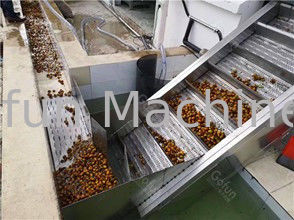 High Efficiency All In One Tomato Processing Equipment 2000T/D