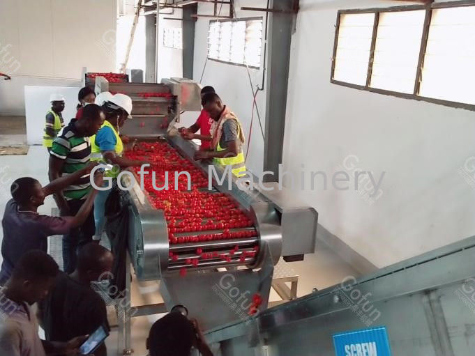 25t/H Sus304 Tomato Processing Line Energy Saving High Efficiency