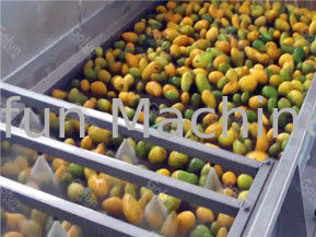 Electric Fresh Mango Juice Processing Machine 5T/H Stone Removal