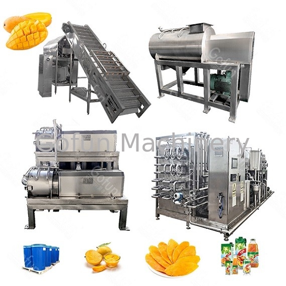 Automatic Mango Processing Line 20T/H Food Grade SS304