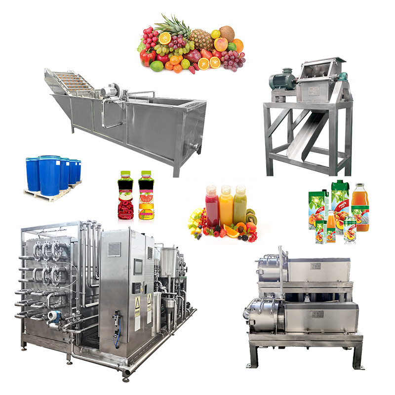 Fruit Processing Line Vector Turnkey Pineapple Processing Line for Juice Jam and Dried Fruit