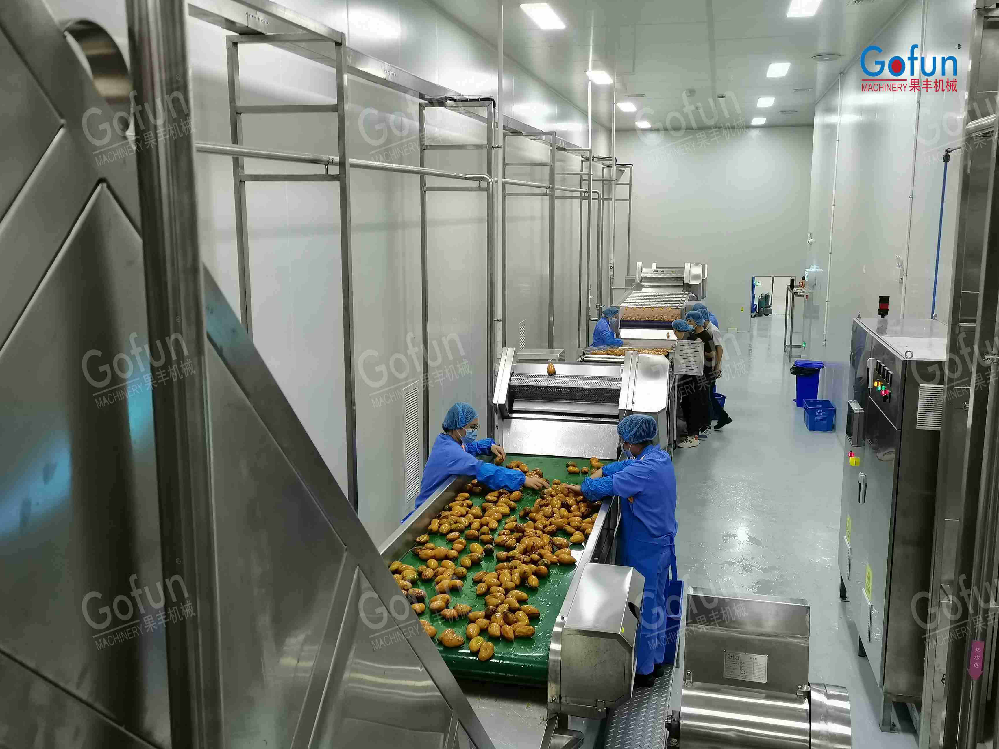 Complete Fruit Processing Line | Washing, Juicing, Concentration ...