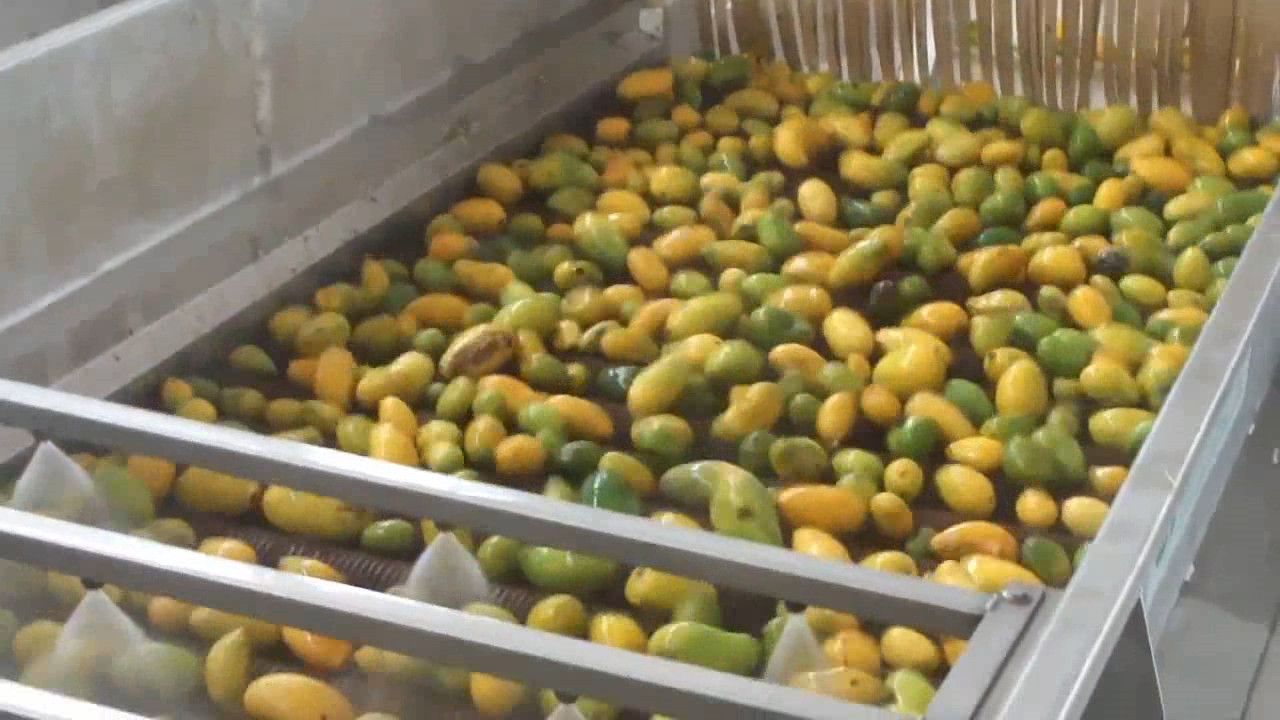 High Effective Small Scale Mango Processing Plant High Extracting Rate