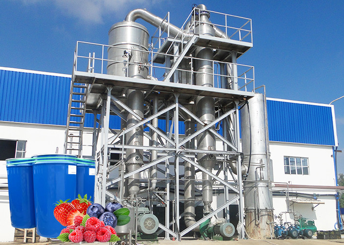 Professional Berry Processing Equipment / Fruit Jam Processing Machinery