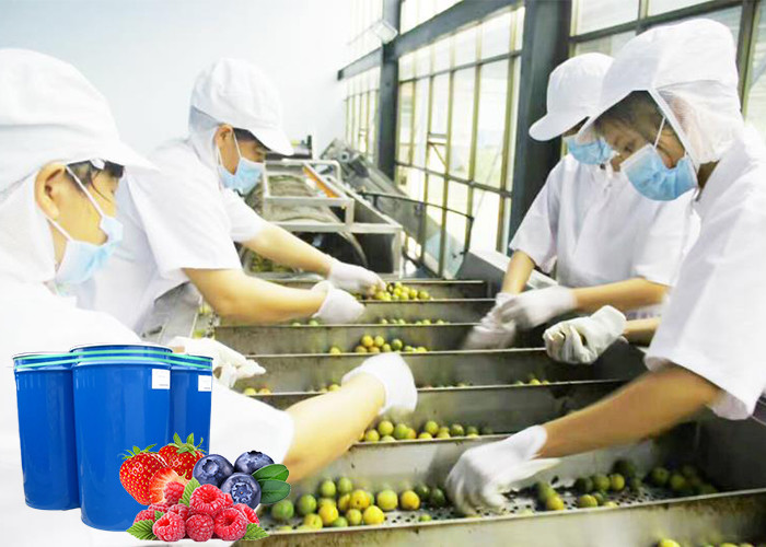 Energy Saving Complete Set of Blueberry Processing Machinery For Berry ...
