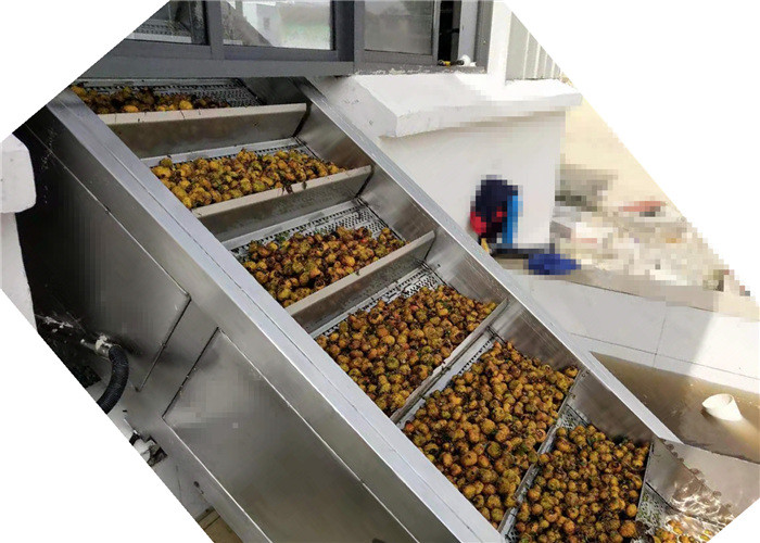 Commercial Passion Fruit Processing Machine Fruit Jam Processing Plant