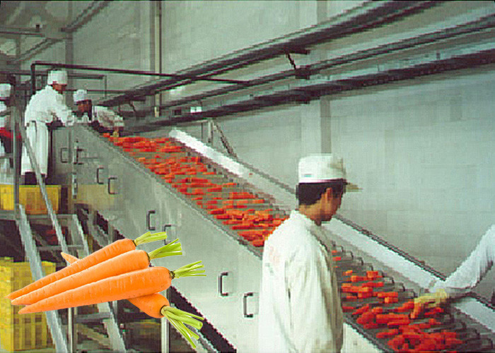 Professional Carrot Processing Plant / Fruit And Vegetable Processing
