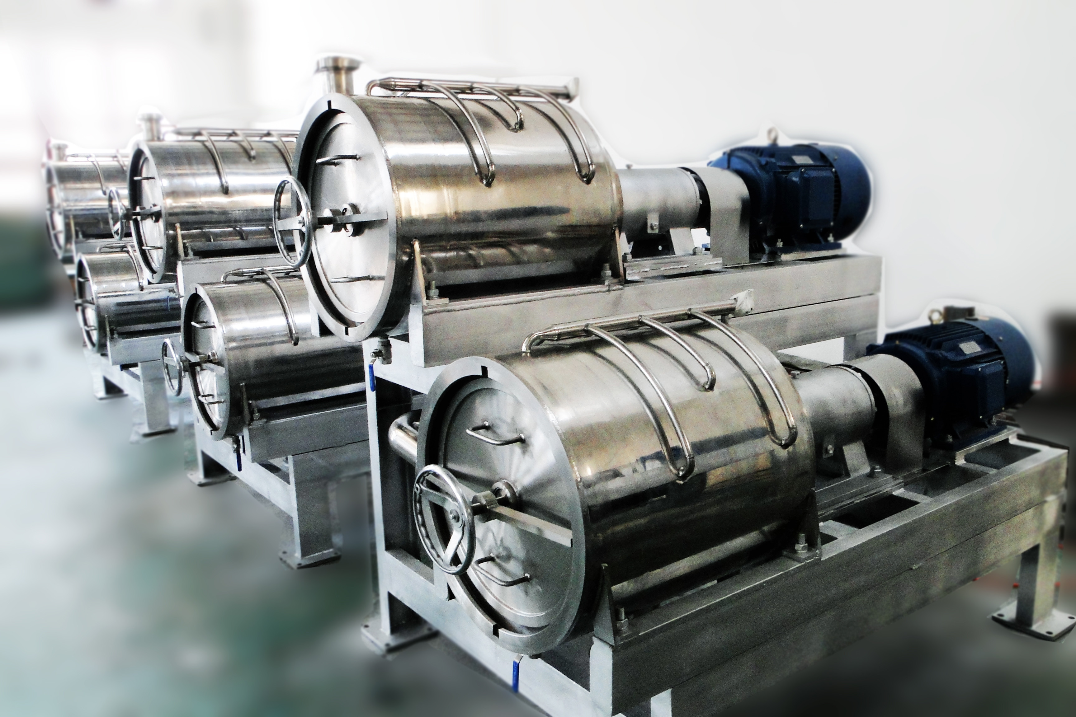 220v Fruit Pulp Extractor