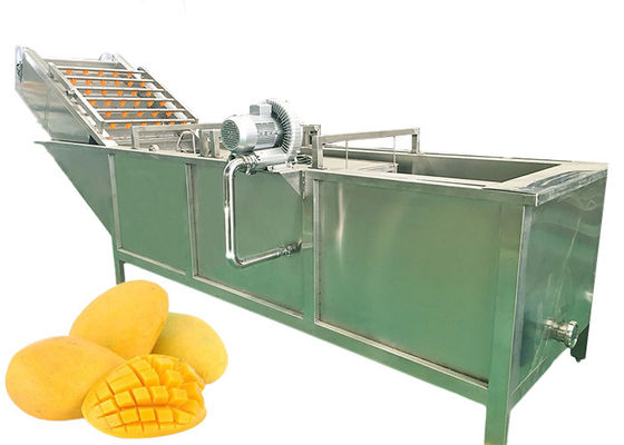 Stable Performance Mango Processing Line Mango Concentrate Turnkey Solution