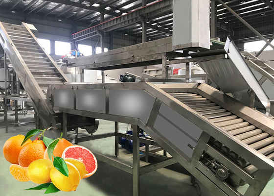 Industrial Citrus Processing Line Orange Lemon Processing Unit 1 Year Warranty