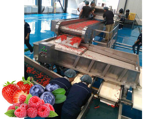 Dried Fruit SUS 304 Berry Processing Equipment