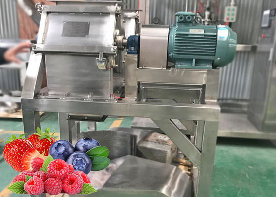 Hygiene SUS 304 1500T/Day Berry Processing Equipment