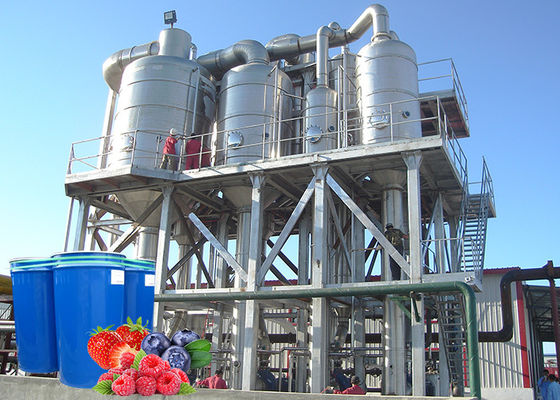 380V Berry Fruit Jam Processing Machinery 20T/H ISO9001 Certificate