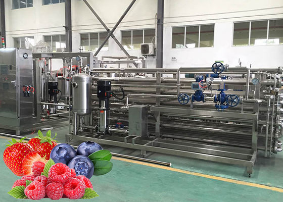 CIP Cleaning Fruit Processing Line Strawberry Juice Processing Machine ISO9001