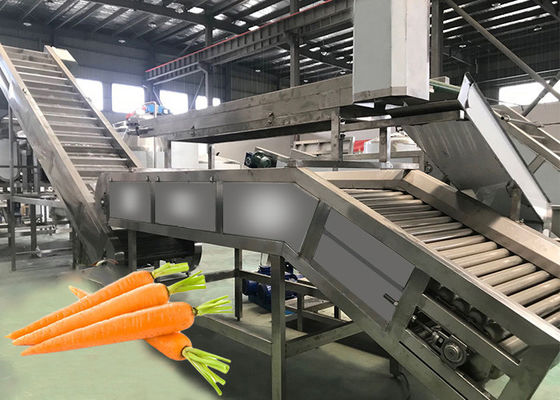 Modular Design Carrot Vegetable Processing Equipment 220V / 380V Voltage