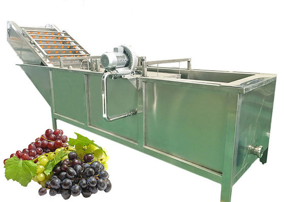 Sterilizing SS316 20T/H Grape Juice Extraction Machine