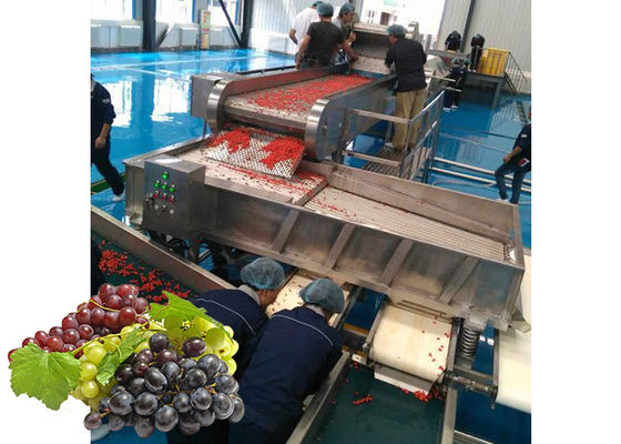 Concentrated  Grape Juice Processing Line / Fruit Juice Processing Equipment