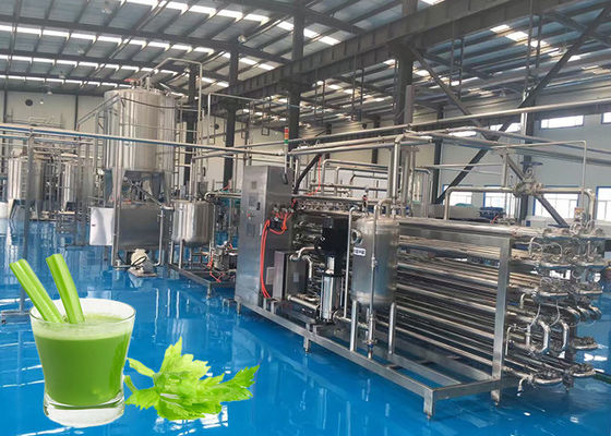 High Efficiency Celery Vegetable Processing Equipment Programmable Control