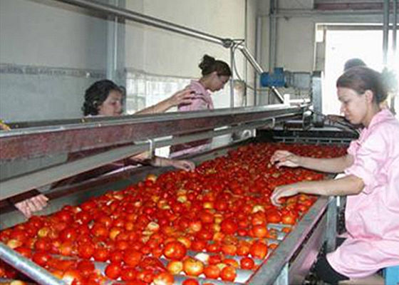 Food Grade Stainless Steel 304 Tomato Processing Line 380V Multifunction