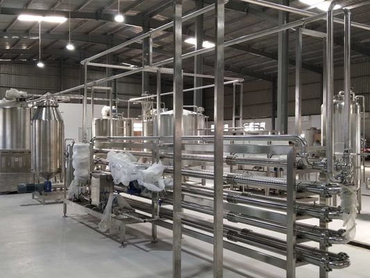 Onion Garlic Ginger Paste 60T/D Tomato Processing Line