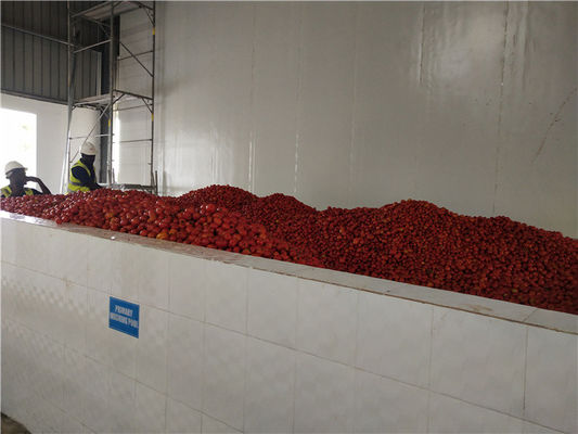 SGS Tomato Processing Line 2000T/D Concentrating Ketchup Processing Line