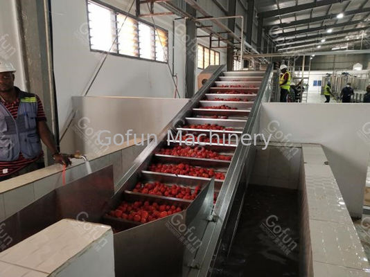 Energy Saving Tomato Paste Production Line For Washing Drying 100T/D