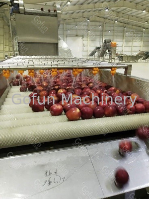 Industrial Automatic Apple Juice Processing Machine 1.5T/H SUS