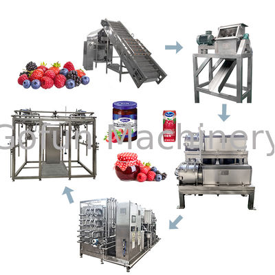 Multi-functional juice and jam production line for berry processing plants