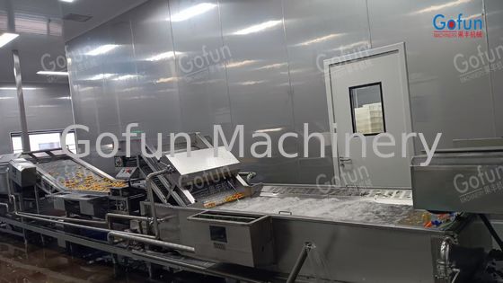 Mango Pulp Processing Line Complete Set Machine Double-pass Pulping ...