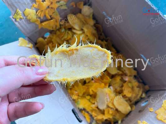 Custom Layout Mango Processing Line for 50 to 2000 Tons Per Day with ...