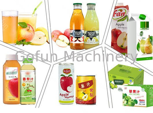 Ss304 Apple Processing Line Automatic Fruit Juice Making Machine 380V