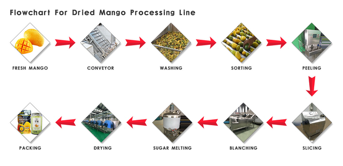 Durable Dried Fruit Processing Plant Dried Fruit Dehydrator Customized ...